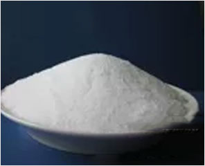 p1.jpg