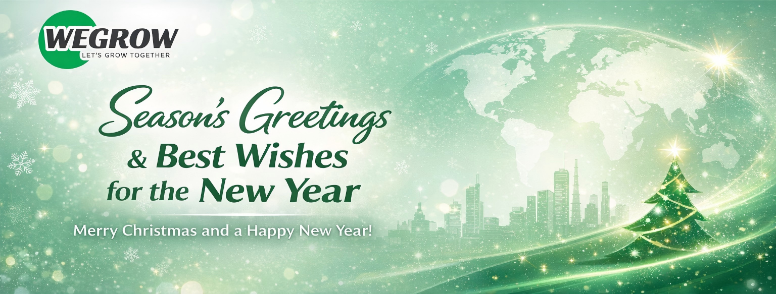 ChatGPT Image 2025年12月24日 21_19_01(1).png